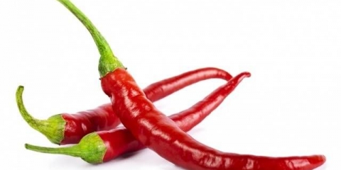 Sorte gorke paprike za otvoreno tlo